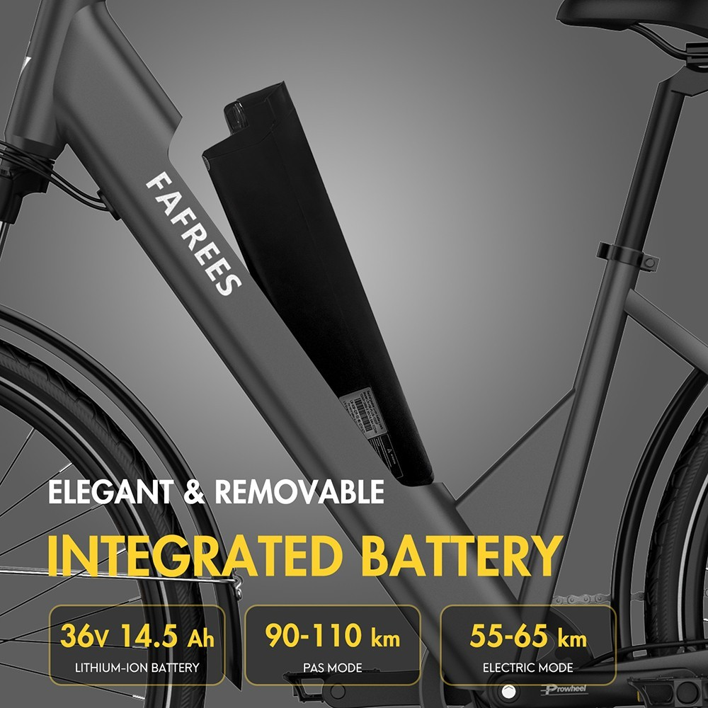 ebike Fafrees F28 Pro